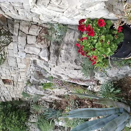 Vikendica Luna Blato (Korcula)